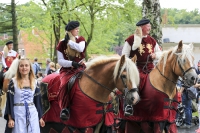 Heideblütenfest Schneverdingen 2015