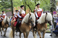 Heideblütenfest Schneverdingen 2015