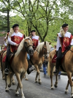 Heideblütenfest Schneverdingen 2015