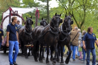 Heideblütenfest Schneverdingen 2015