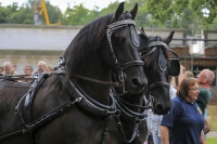 Heideblütenfest Schneverdingen 2015