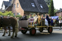 Heideblütenfest Schneverdingen 2015