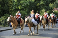 Schneverdingen 2015 - Majestäten und Musikzüge