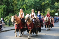 Heideblütenfest Schneverdingen 2015