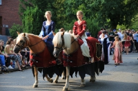 Heideblütenfest Schneverdingen 2015