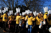 Karneval in Deutschland