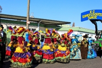 Karneval in Deutschland