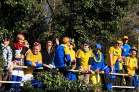 Karneval in Deutschland