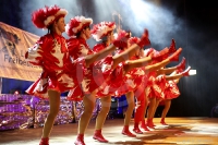 Show- und Tanzgruppen