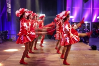 Show- und Tanzgruppen