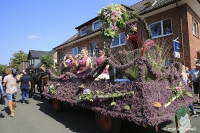 Heideblütenfest Schneverdingen 2019