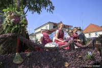 Heideblütenfest Schneverdingen 2019