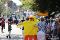 Schneverdingen 2016 - Festumzug