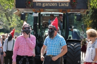 Schneverdingen 2016 - Festumzug