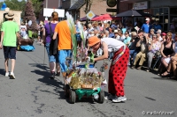 Schneverdingen 2016 - Festumzug