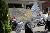 Schneverdingen 2016 - Festumzug