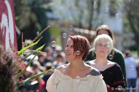 Schneverdingen 2016 - Festumzug