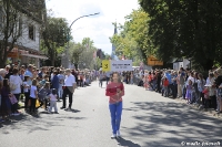 Schneverdingen 2017 Festumzug