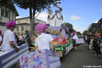 Schneverdingen 2017 Festumzug