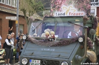 Schneverdingen 2017 Festumzug