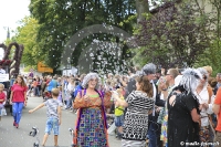 Schneverdingen 2017 Festumzug