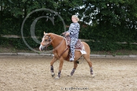 Freestyle Reining