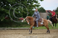 Freestyle Reining