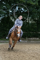 Freestyle Reining