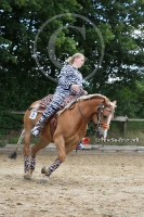 Freestyle Reining