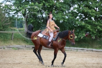 Freestyle Reining