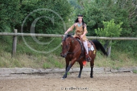 Freestyle Reining