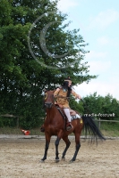 Freestyle Reining