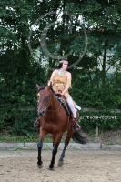 Freestyle Reining