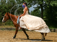 Freestyle Reining