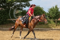 Freestyle Reining