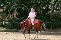 Freestyle Reining