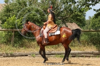 Freestyle Reining