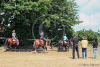 Westernreitertage in Bargstedt 2016