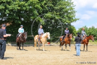 Westernreitertage in Bargstedt 2016