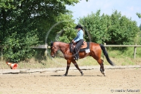 Ranch Riding