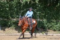 Ranch Riding