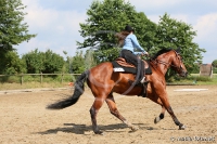 Ranch Riding