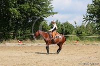 Westernreitertage in Bargstedt 2016