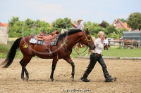 Westernreitertage in Bargstedt 2016