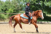 Westernreitertage in Bargstedt 2016