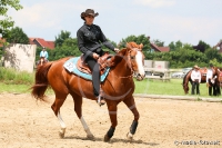 Westernreitertage in Bargstedt 2016