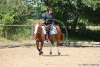 Westernreitertage in Bargstedt 2016