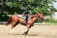 Westernreitertage in Bargstedt 2016