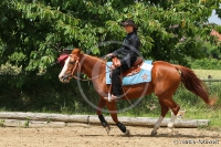 Reining Fortgeschritten