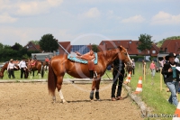 Westernreitertage in Bargstedt 2016